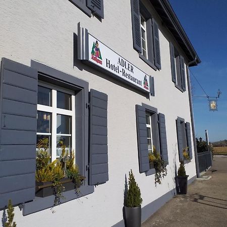 Hotel Landgasthof Adler Bad Krozingen Eksteriør billede