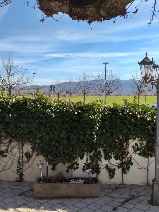 Hotel Landgasthof Adler Bad Krozingen Eksteriør billede